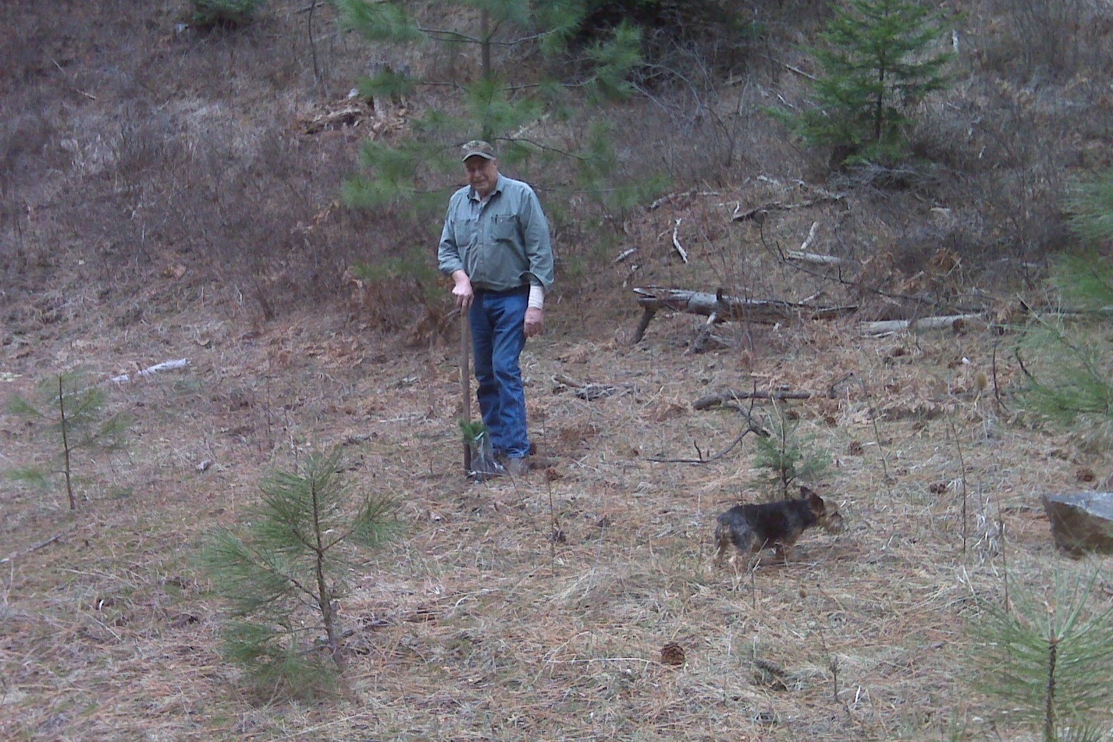 millionth tree 018.1